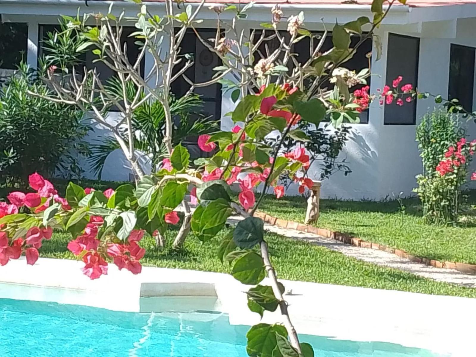 Aparthotel Kerubin Dorado Akumal Zewnętrze zdjęcie