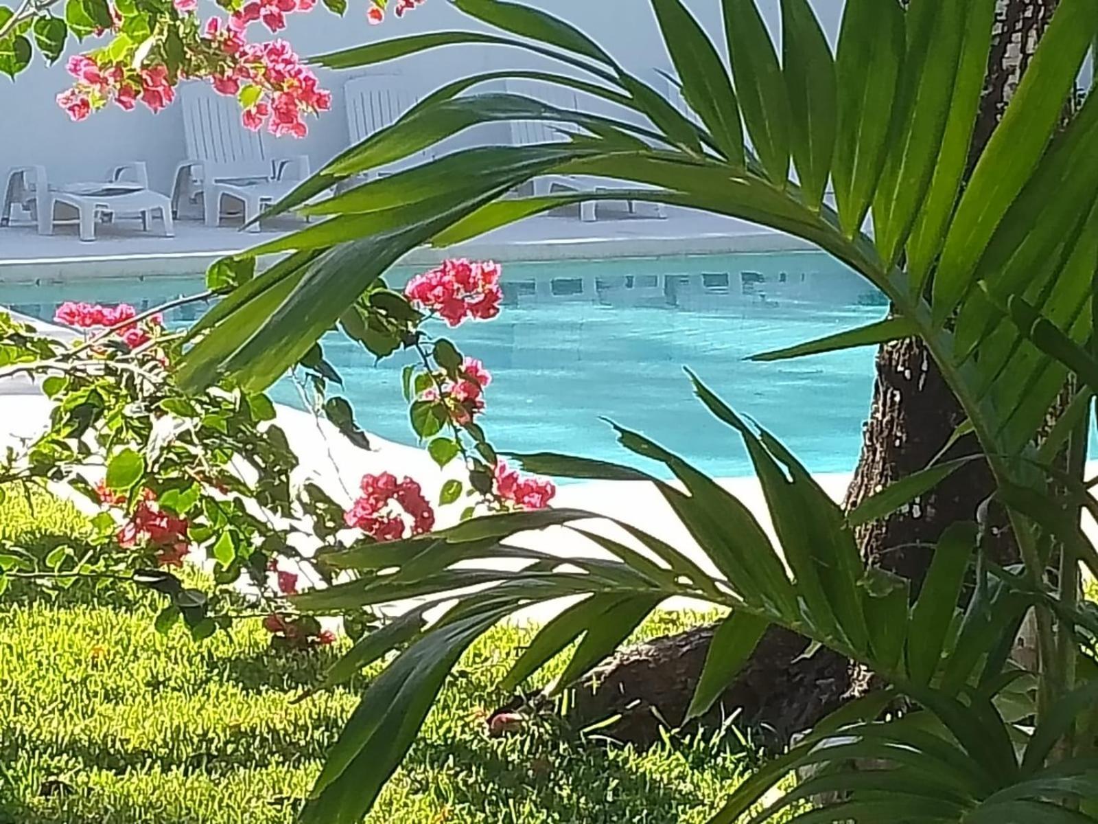 Aparthotel Kerubin Dorado Akumal Zewnętrze zdjęcie