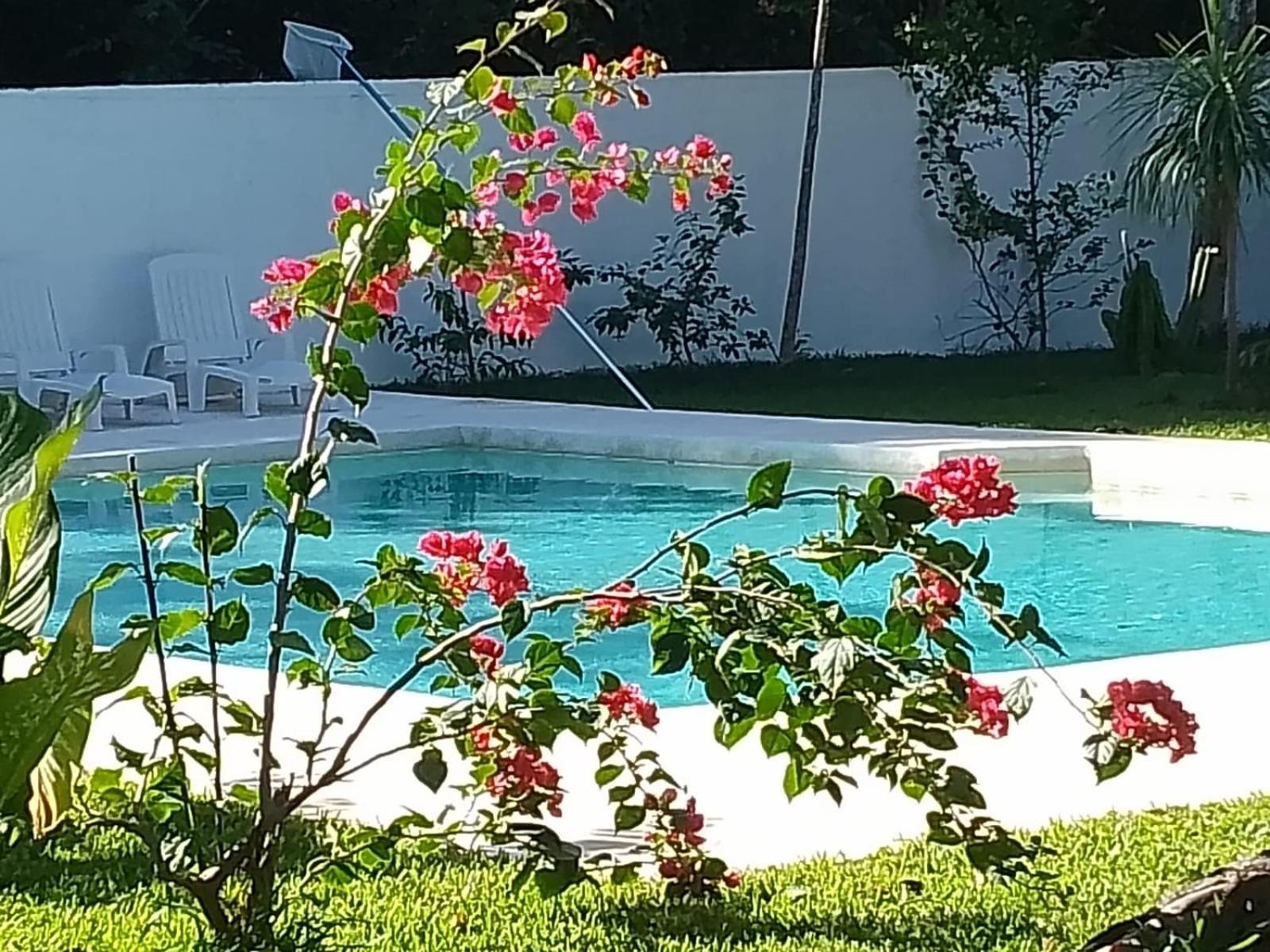 Aparthotel Kerubin Dorado Akumal Zewnętrze zdjęcie